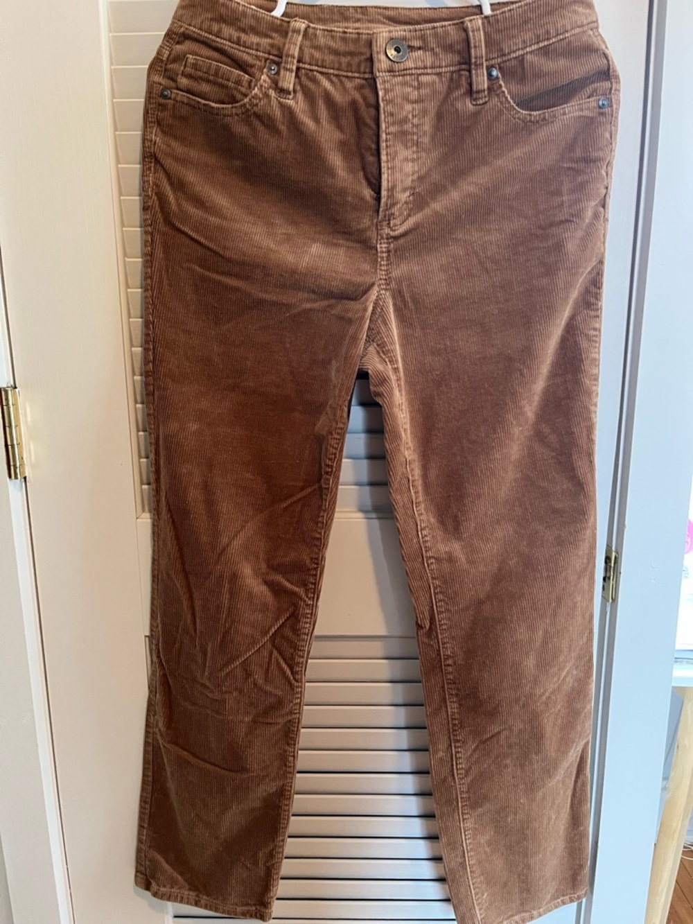 Style & Co. Women's Corduroy Boot Cut Pants in Chestnut